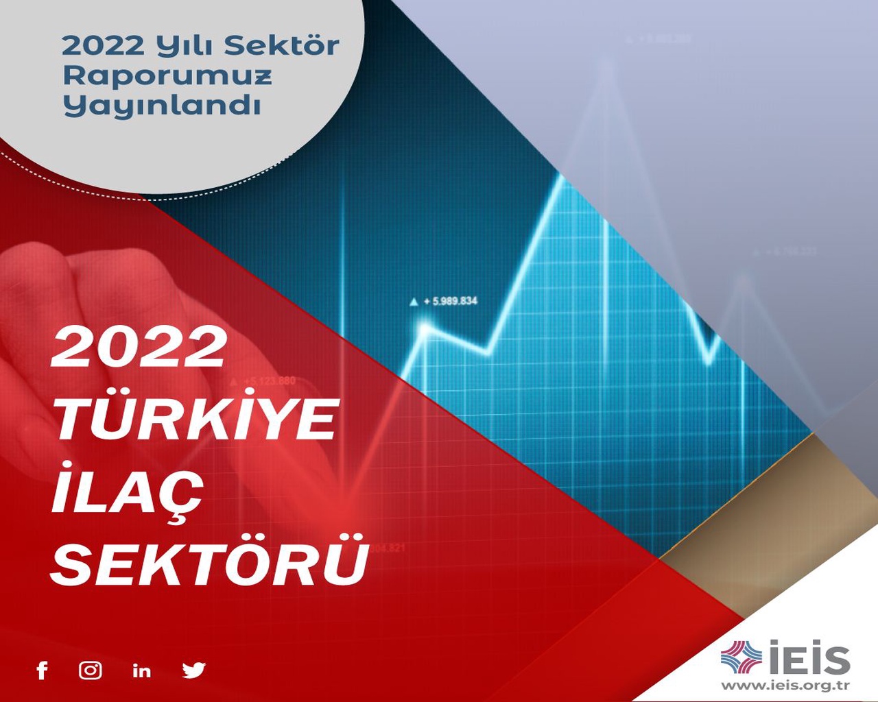 Türkiye İlaç Sektörü 2022 Raporu